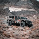 Mojave (9 of 14) copy