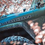 Sarge Green 392 (11 of 12) copy